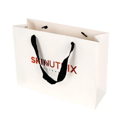 Paper Reticule for Shoes