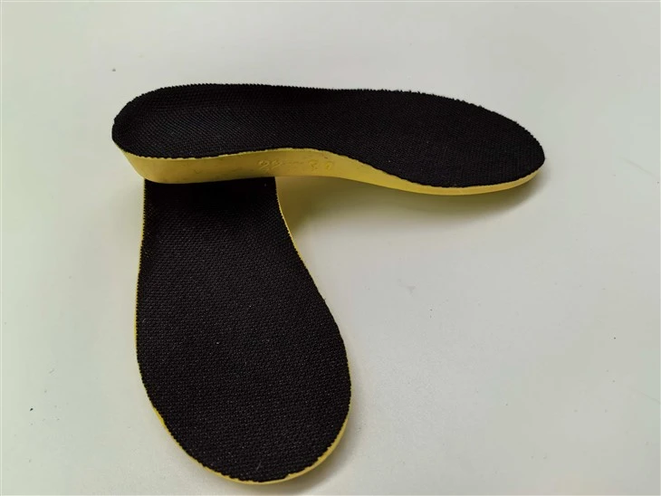 Shoe Insole